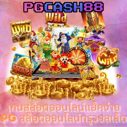 กระเป๋าลิน