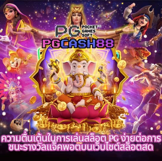 กระเป๋าลิน